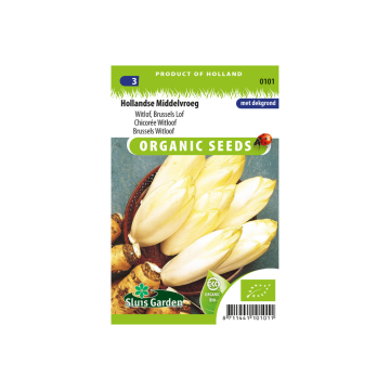 Witlof Hollandse Middelvroeg BIO