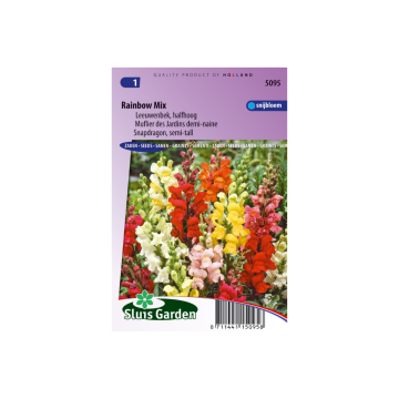 Antirrhinum majus nanum Rainbow mix