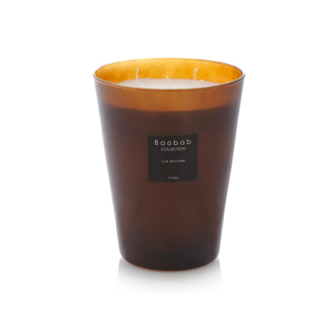Baobab Geurkaars Les Prestigieuses Cuir de Russie