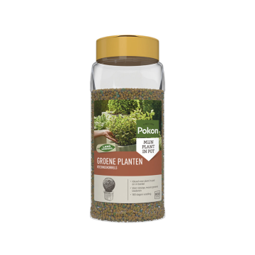 Pokon Groene Planten Voedingskorrels 800g