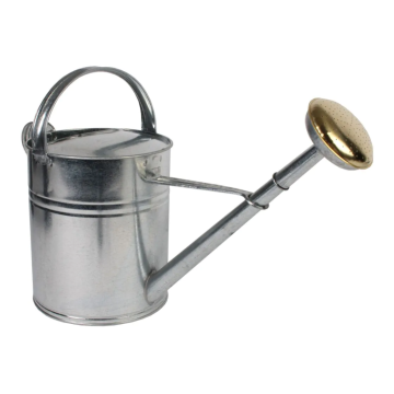 Talen Tools Gieter 10L metaal verzinkt