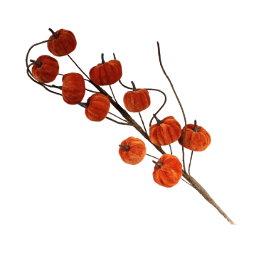 Pompoen tak fluweel 70 cm