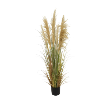 Pampas 150 cm naturel