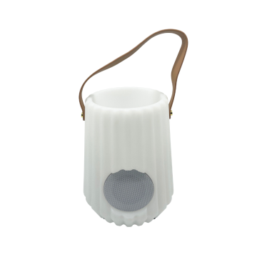 Fleskoeler met speaker en LED verlichting 24 x 30 cm