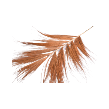 Dry Stem Grain Wide Terra