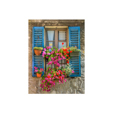 Tuinposter Kozijn Met Bloemen 