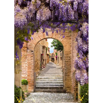 Tuinposter  XL Doorkijk Blauwregen 