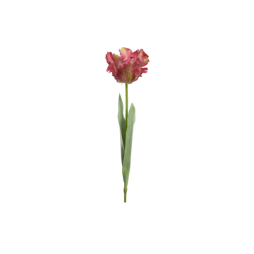 Decoris Tulp Fuchsia 68 cm