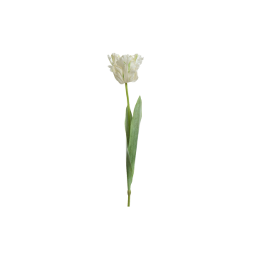 Decoris Tulp Wit 68 cm