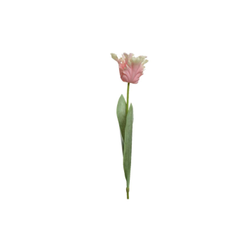 Decoris Tulp Roze 68 cm